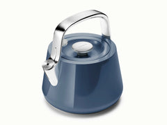 Whistling Tea Kettle